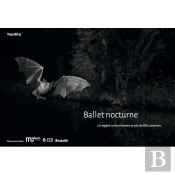 Ballet Nocturne