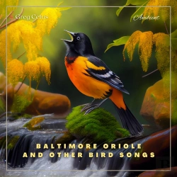 Bertrand.pt - Baltimore Oriole And Other Bird Songs