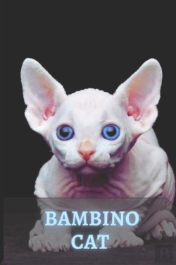 Bertrand.pt - Bambino Cat