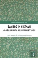 Bamboo In Vietnam