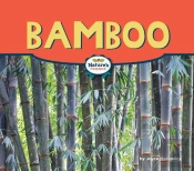 Bamboo