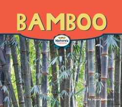Bertrand.pt - Bamboo