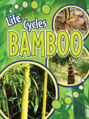Bamboo