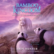 Bamboo Kingdom #3: Journey To The Dragon Mountain