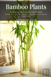 Bamboo Plants
