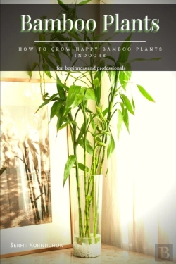 Bertrand.pt - Bamboo Plants