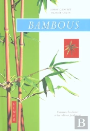 Bambous ; Comment Les Cultiver Facilement