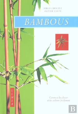 Bertrand.pt - Bambous ; Comment Les Cultiver Facilement