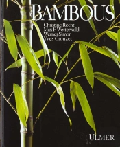 Bambous