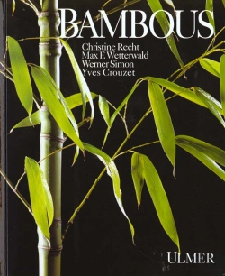 Bertrand.pt - Bambous