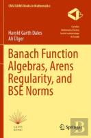 Banach Function Algebras, Arens Regularity, And Bse Norms