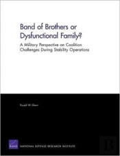 Band Of Brothers Or Dysfunctional Family? A Military Perspective On Coalition Challenges During Stability Operations