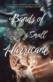 Bands Of A Small Hurricane