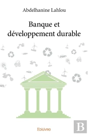 Banque Et Développement Durable