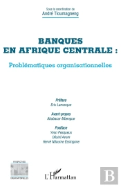 Banques En Afrique Centrale : Problématiques Organisationnelles