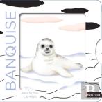 Banquise
