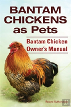 Bertrand.pt - Bantam Chickens. Bantam Chickens As Pets