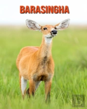 Barasingha
