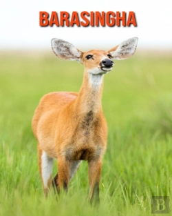 Bertrand.pt - Barasingha
