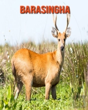 Barasingha