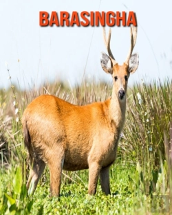 Bertrand.pt - Barasingha