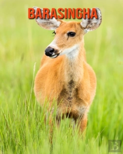 Bertrand.pt - Barasingha