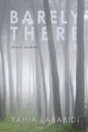 Barely There: Short Poems