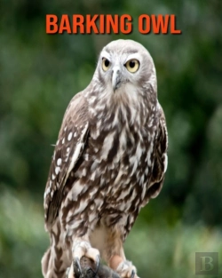 Bertrand.pt - Barking Owl