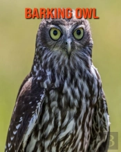 Barking Owl