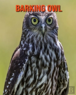 Bertrand.pt - Barking Owl