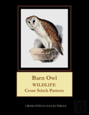Barn Owl