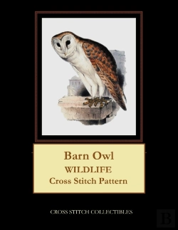 Bertrand.pt - Barn Owl