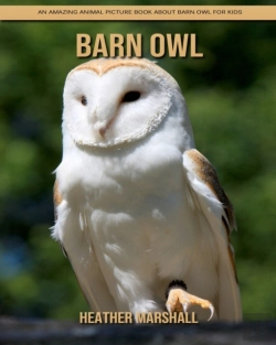 Bertrand.pt - Barn Owl
