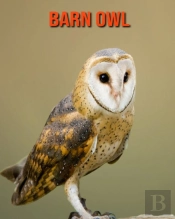 Barn Owl