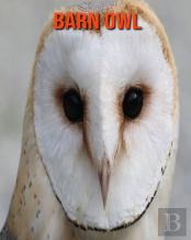 Barn Owl