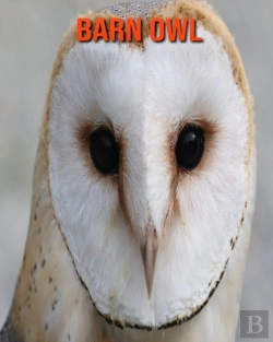 Bertrand.pt - Barn Owl