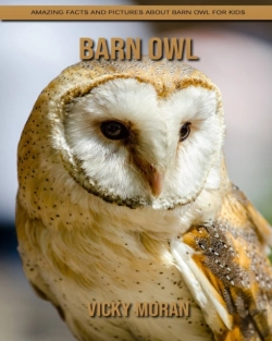Bertrand.pt - Barn Owl
