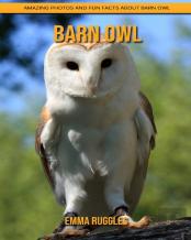 Barn Owl