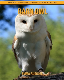 Bertrand.pt - Barn Owl