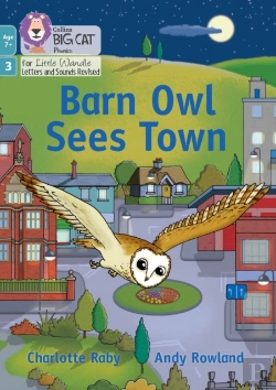 Bertrand.pt - Barn Owl Sees Town