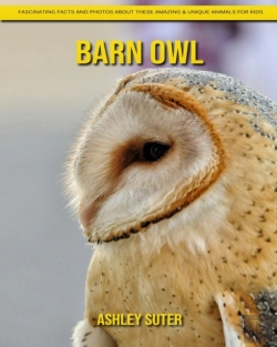 Bertrand.pt - Barn Owl