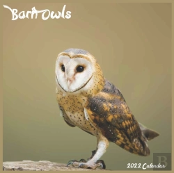 Bertrand.pt - Barn Owls Calendar 2022