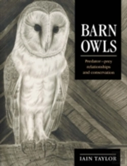 Bertrand.pt - Barn Owls