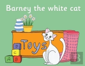Barney The White Cat