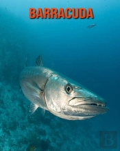 Barracuda