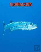 Barracuda