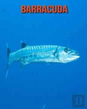 Barracuda
