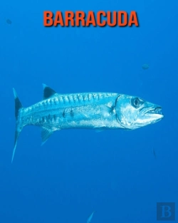 Bertrand.pt - Barracuda