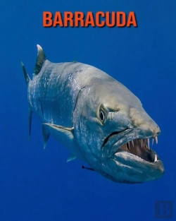 Bertrand.pt - Barracuda