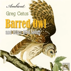 Bertrand.pt - Barred Owl And Other Bird Songs